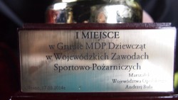 Zawody Sportowo-Pożarnicze 2014 - zdjecie 2