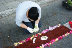 Układanie dywanów z kwiatów