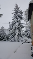 Zima 2017 - kwiecień - zdjecie 3