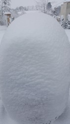 Zima 2017 - kwiecień - zdjecie 9