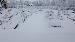 Zima 2017 - kwiecień - zdjecie 11