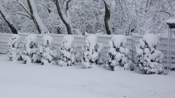 Zima 2017 - kwiecień - zdjecie 14