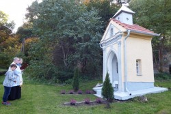 Błogosławieństwo kaplicy Jana Nepomucena w Miejscu Odrz. 2017 - zdjecie 10