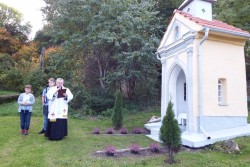 Błogosławieństwo kaplicy Jana Nepomucena w Miejscu Odrz. 2017 - zdjecie 17