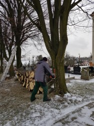 Wycinka drzew 2018r. - zdjecie 60