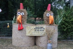 Dożynki parafialne 2025 - zdjecie 1