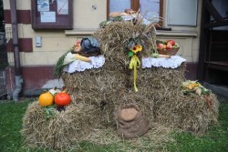 Dożynki parafialne 2025 - zdjecie 3