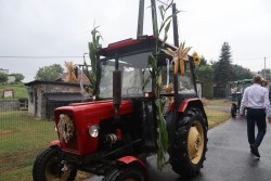 Dożynki parafialne 2025 - zdjecie 8