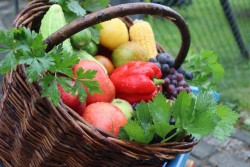 Dożynki parafialne 2025 - zdjecie 15