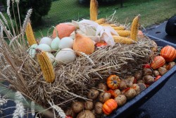 Dożynki parafialne 2025 - zdjecie 16