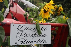 Dożynki parafialne 2025 - zdjecie 20