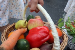 Dożynki parafialne 2025 - zdjecie 24