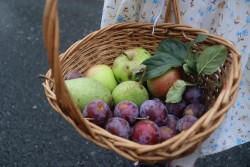 Dożynki parafialne 2025 - zdjecie 25