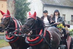 Dożynki parafialne 2025 - zdjecie 27