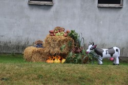 Dożynki parafialne 2025 - zdjecie 34