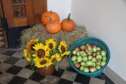 Dożynki parafialne 2025 - zdjecie 43