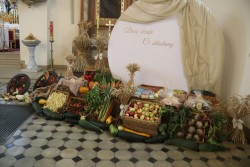 Dożynki parafialne 2025 - zdjecie 44