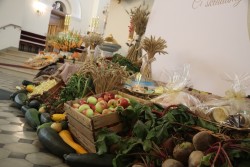 Dożynki parafialne 2025 - zdjecie 45