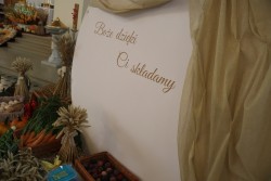 Dożynki parafialne 2025 - zdjecie 46