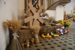 Dożynki parafialne 2025 - zdjecie 49