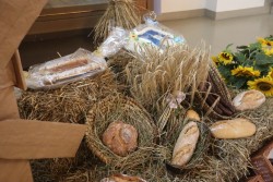 Dożynki parafialne 2025 - zdjecie 50