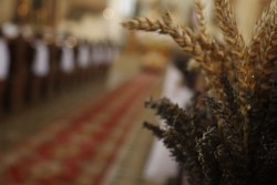 Dożynki parafialne 2025 - zdjecie 52