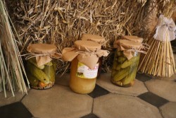 Dożynki parafialne 2025 - zdjecie 61