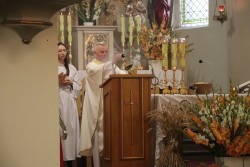 Dożynki parafialne 2025 - zdjecie 73