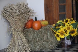 Dożynki parafialne 2025 - zdjecie 75