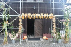 Dożynki w Miejscu Odrz. 2025 - zdjecie 3