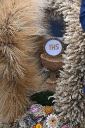 Dożynki w Miejscu Odrz. 2025 - zdjecie 47