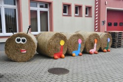 Dożynki w Miejscu Odrz. 2025 - zdjecie 49