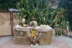 Dożynki w Miejscu Odrz. 2025 - zdjecie 50