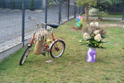 Dożynki w Miejscu Odrz. 2025 - zdjecie 51