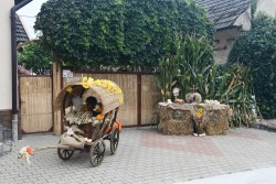 Dożynki w Miejscu Odrz. 2025 - zdjecie 52