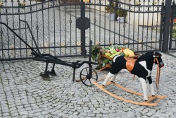 Dożynki w Miejscu Odrz. 2025 - zdjecie 53