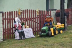 Dożynki w Miejscu Odrz. 2025 - zdjecie 55