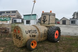 Dożynki w Miejscu Odrz. 2025 - zdjecie 56