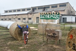 Dożynki w Miejscu Odrz. 2025 - zdjecie 57