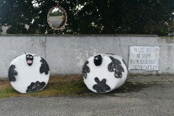 Dożynki w Miejscu Odrz. 2025 - zdjecie 58