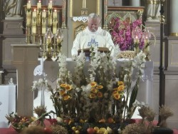 Pielgrzymka do Miejsca Odrz. 2025r. - zdjecie 13