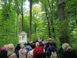 Pielgrzymka do Trzebnicy 2025r. - zdjecie 25