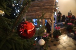 Boże Narodzenie 2025r. - zdjecie 28