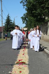 Boże Ciało 2026r. - zdjecie 46